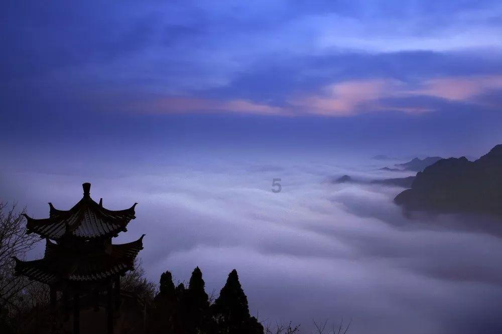 拯救精灵的土地9