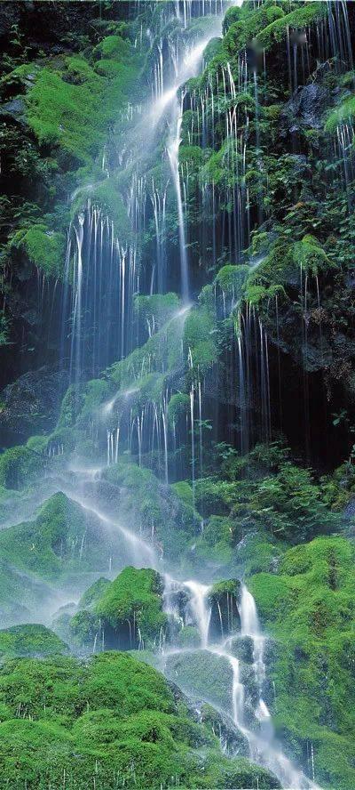 沙漠前行