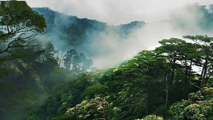 美丽乡村别墅逃生