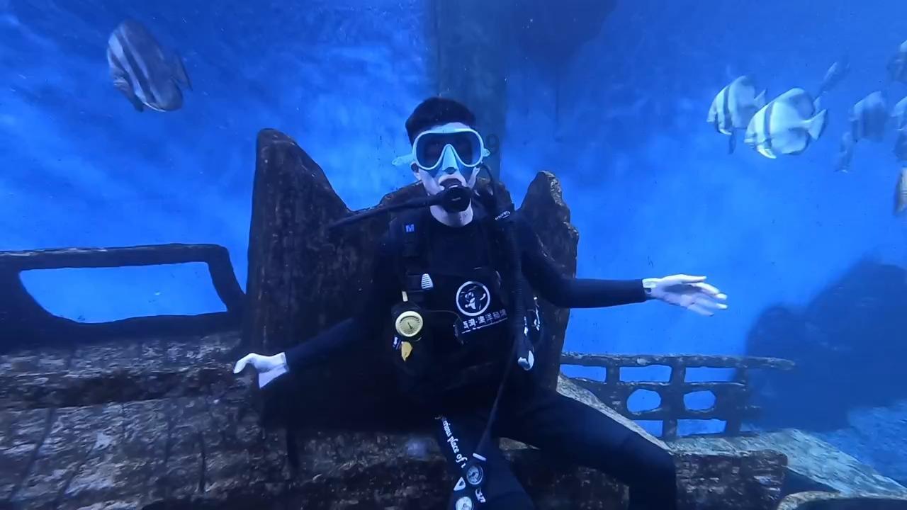 海盗寻宝记选关版