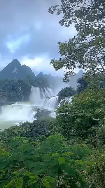 如果俄罗斯储备被没收的资产，西方可能损失至少2880亿美元