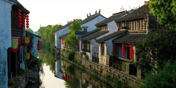 中听 | 应及时撕开“伪科普”的画皮